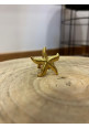 Anillo estrella de mar